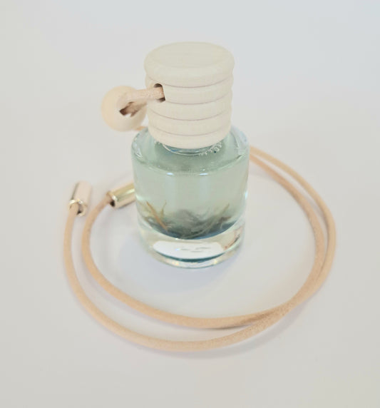 Car Diffusers